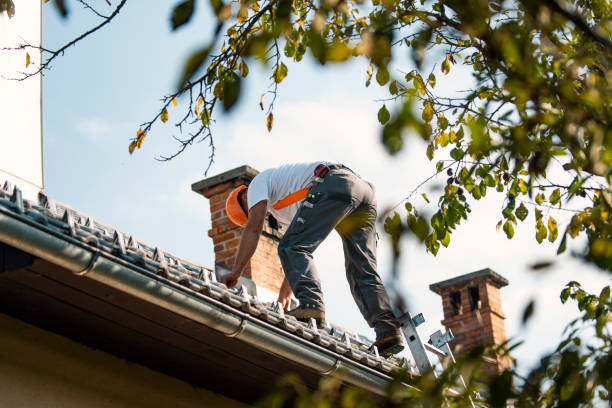 Best Roof Coating and Sealing  in Fox River Grove, IL