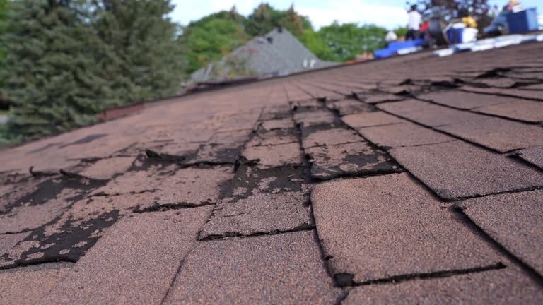  Fox River Grove, IL Roofing Service Pros