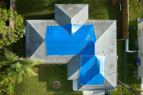 Best Roof Insulation Installation  in Fox River Grove, IL