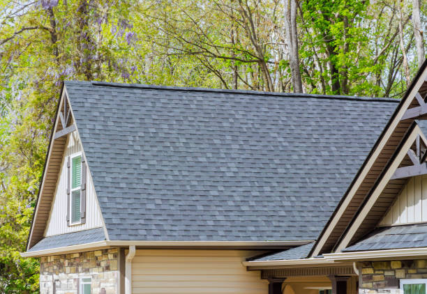 Best Storm Damage Roof Repair  in Fox River Grove, IL